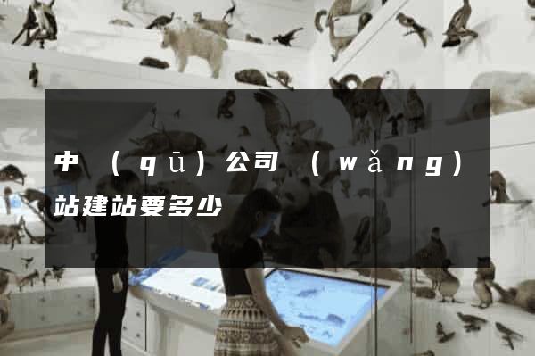 中區(qū)公司網(wǎng)站建站要多少錢