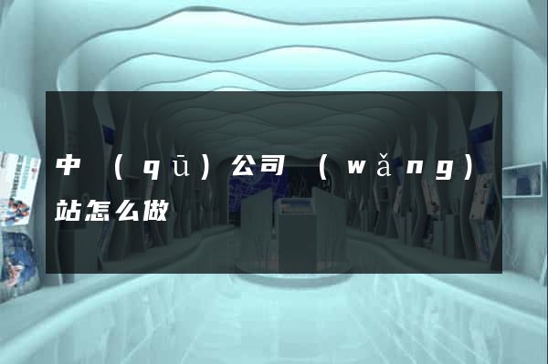 中區(qū)公司網(wǎng)站怎么做