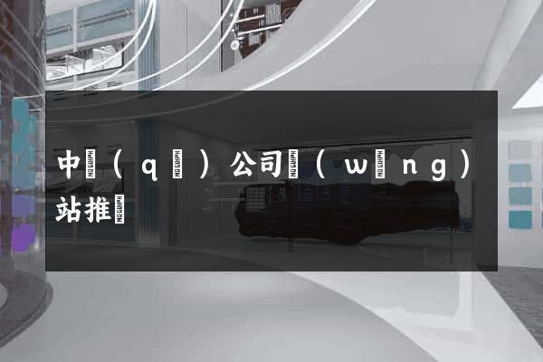 中區(qū)公司網(wǎng)站推廣