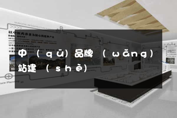 中區(qū)品牌網(wǎng)站建設(shè)