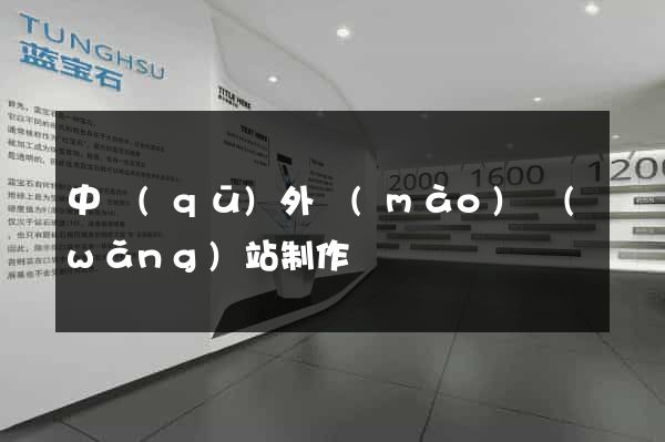 中區(qū)外貿(mào)網(wǎng)站制作