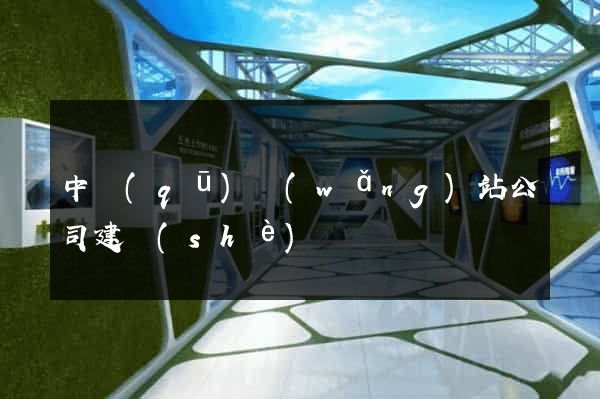 中區(qū)網(wǎng)站公司建設(shè)