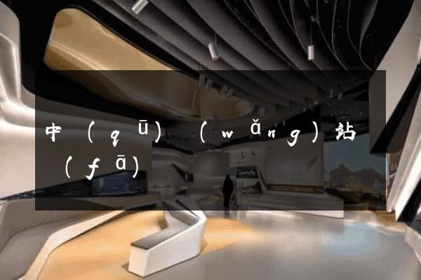 中區(qū)網(wǎng)站開發(fā)