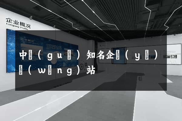 中國(guó)知名企業(yè)網(wǎng)站