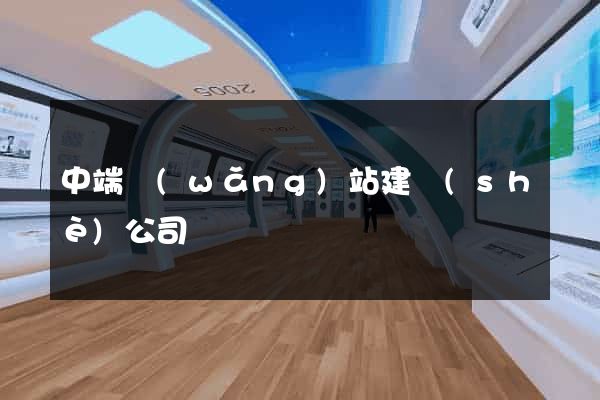 中端網(wǎng)站建設(shè)公司