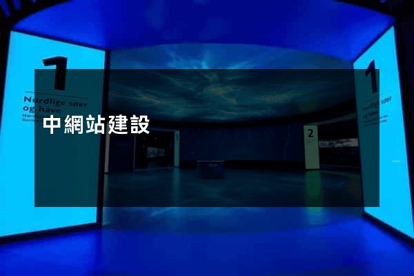 中網站建設