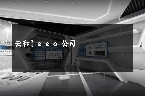 云和縣seo公司