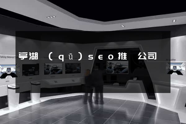 亭湖區(qū)seo推廣公司