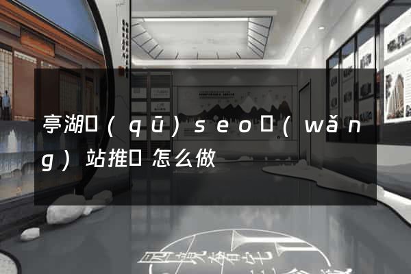 亭湖區(qū)seo網(wǎng)站推廣怎么做