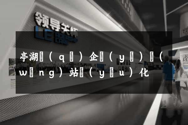 亭湖區(qū)企業(yè)網(wǎng)站優(yōu)化