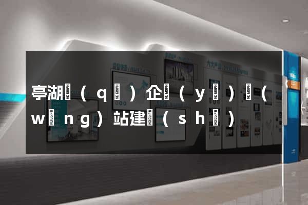 亭湖區(qū)企業(yè)網(wǎng)站建設(shè)