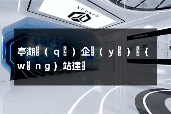 亭湖區(qū)企業(yè)網(wǎng)站建設