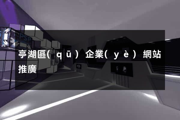 亭湖區(qū)企業(yè)網站推廣
