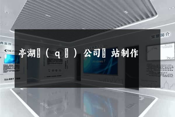 亭湖區(qū)公司網站制作