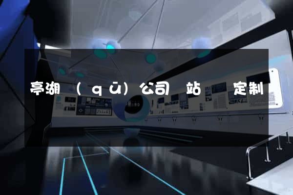 亭湖區(qū)公司網站設計定制