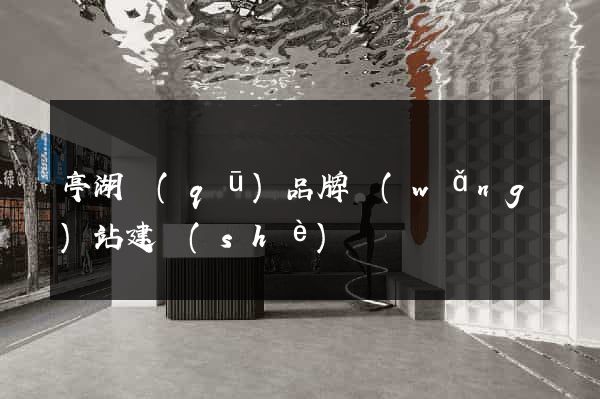 亭湖區(qū)品牌網(wǎng)站建設(shè)