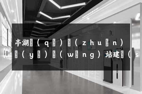 亭湖區(qū)專(zhuān)業(yè)網(wǎng)站建設(shè)