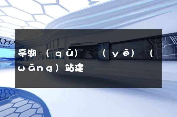 亭湖區(qū)專業(yè)網(wǎng)站建設
