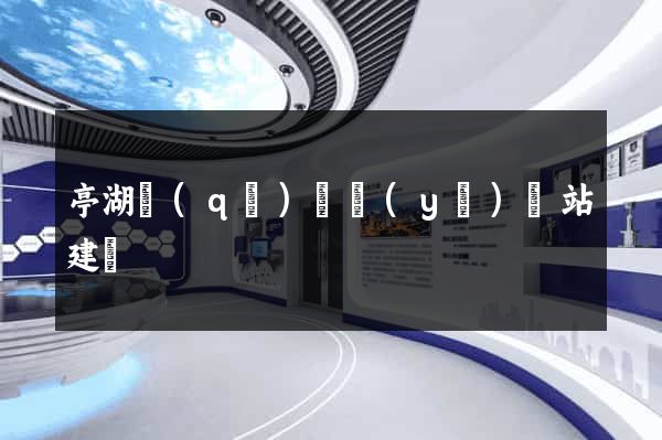 亭湖區(qū)專業(yè)網站建設