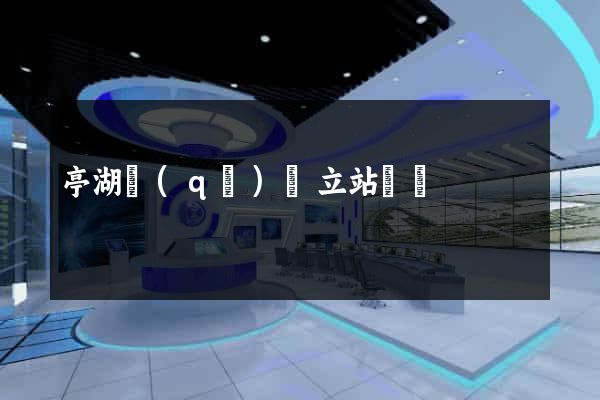 亭湖區(qū)獨立站運營