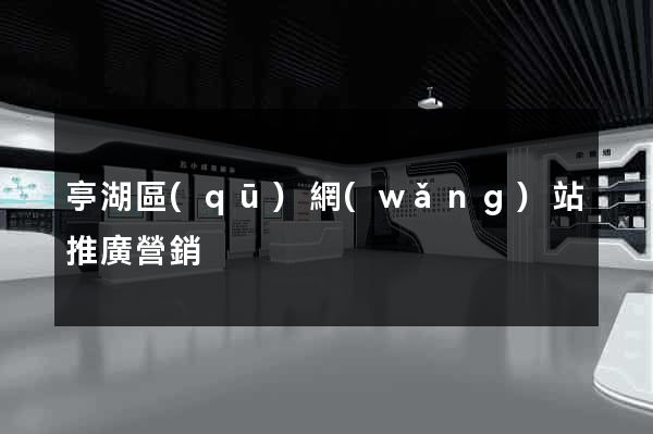 亭湖區(qū)網(wǎng)站推廣營銷