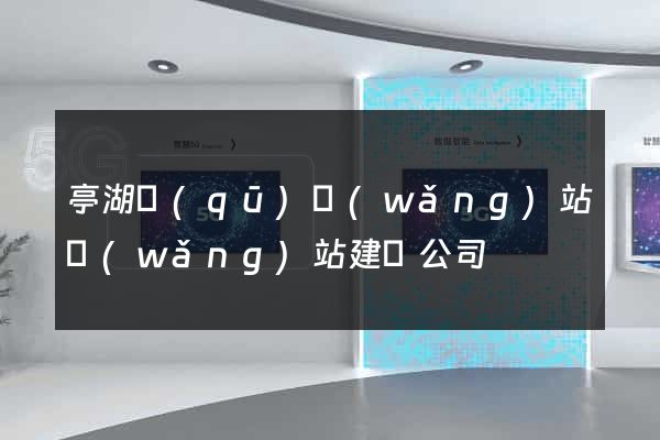 亭湖區(qū)網(wǎng)站網(wǎng)站建設公司