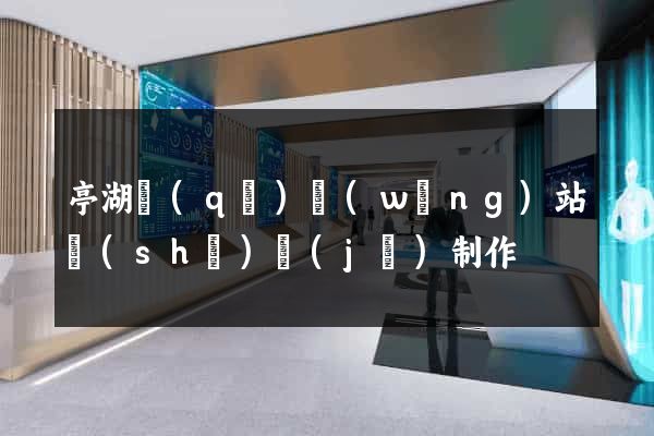 亭湖區(qū)網(wǎng)站設(shè)計(jì)制作