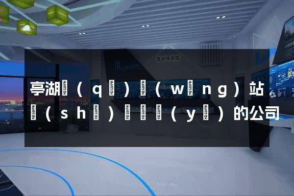 亭湖區(qū)網(wǎng)站設(shè)計專業(yè)的公司