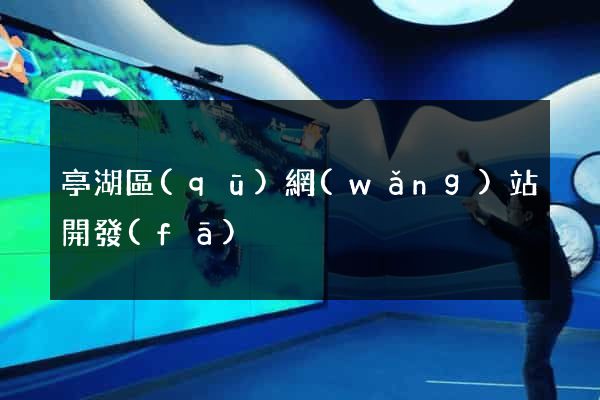 亭湖區(qū)網(wǎng)站開發(fā)