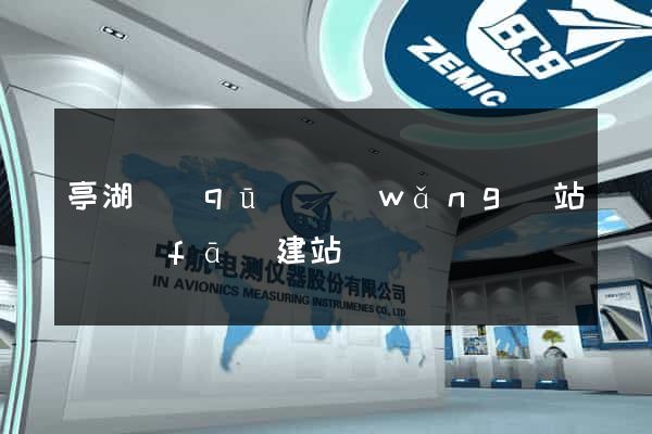 亭湖區(qū)網(wǎng)站開發(fā)建站
