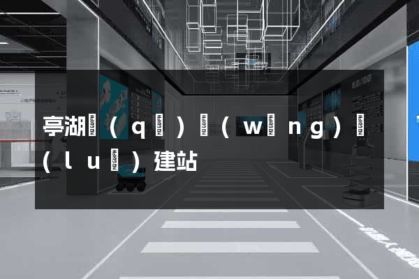 亭湖區(qū)網(wǎng)絡(luò)建站