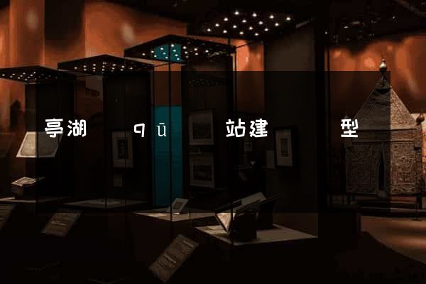 亭湖區(qū)網站建設營銷型