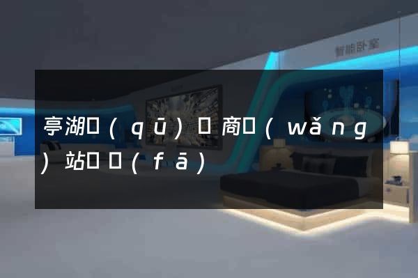 亭湖區(qū)電商網(wǎng)站開發(fā)