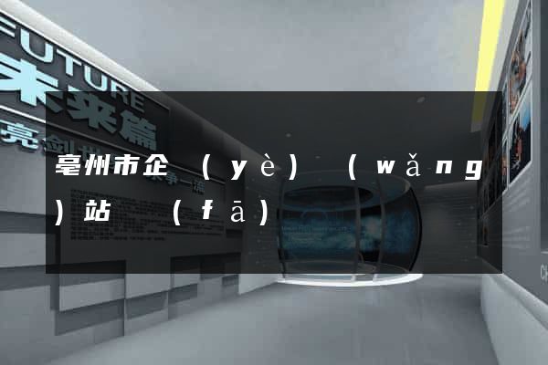 亳州市企業(yè)網(wǎng)站開發(fā)