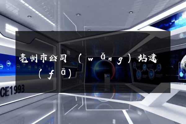 亳州市公司網(wǎng)站建設開發(fā)