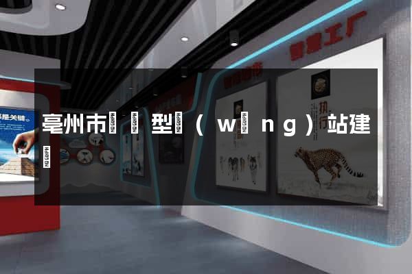 亳州市營銷型網(wǎng)站建設