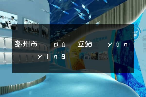 亳州市獨(dú)立站運(yùn)營(yíng)