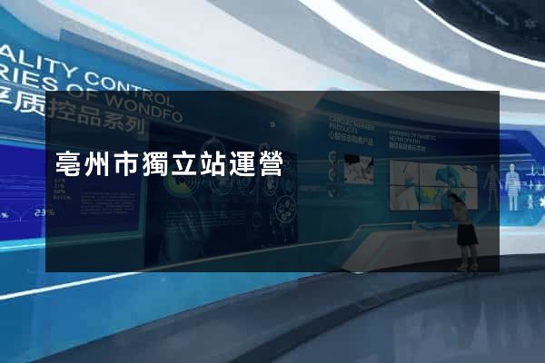 亳州市獨立站運營