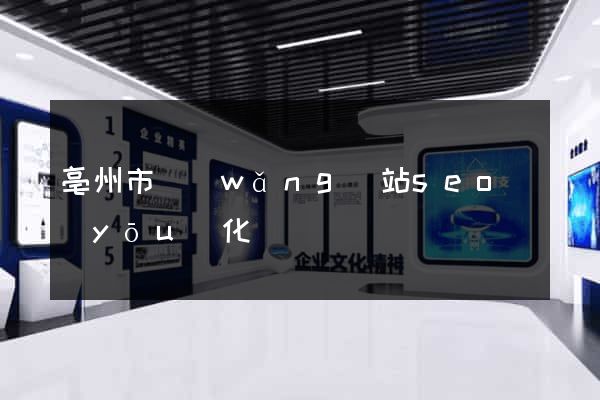 亳州市網(wǎng)站seo優(yōu)化
