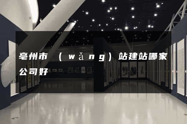 亳州市網(wǎng)站建站哪家公司好