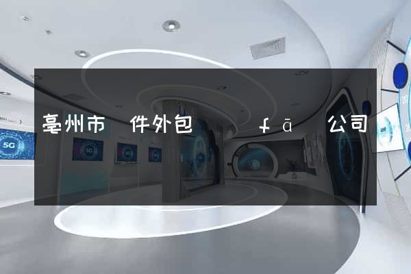 亳州市軟件外包開發(fā)公司