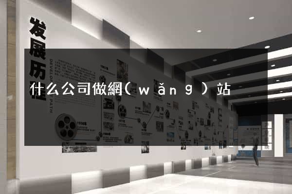 什么公司做網(wǎng)站