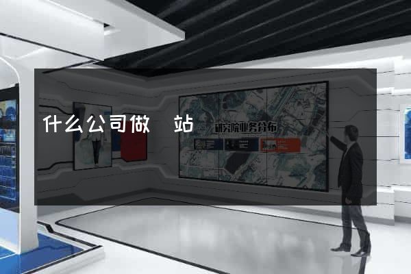 什么公司做網站
