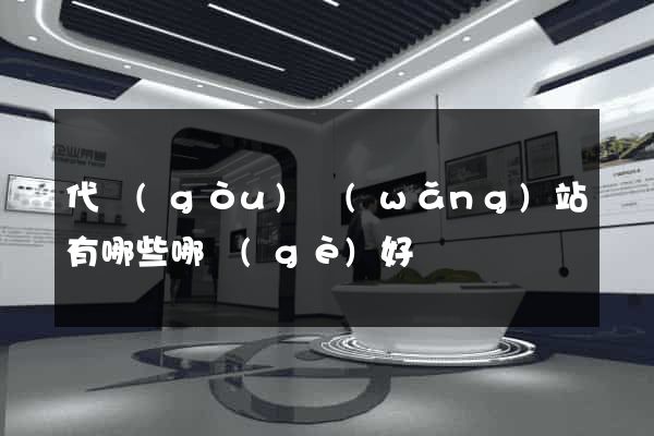 代購(gòu)網(wǎng)站有哪些哪個(gè)好