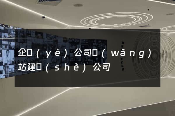 企業(yè)公司網(wǎng)站建設(shè)公司