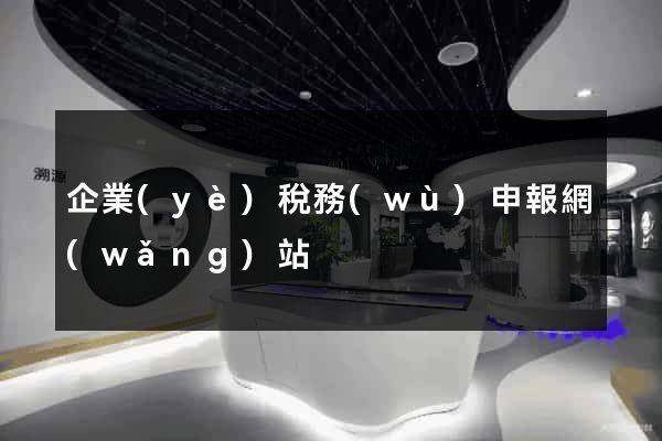 企業(yè)稅務(wù)申報網(wǎng)站