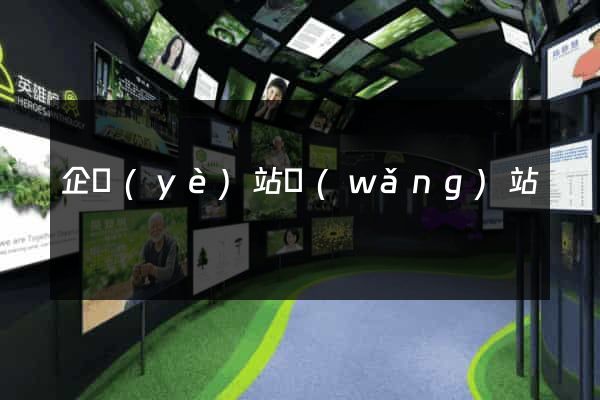 企業(yè)站網(wǎng)站