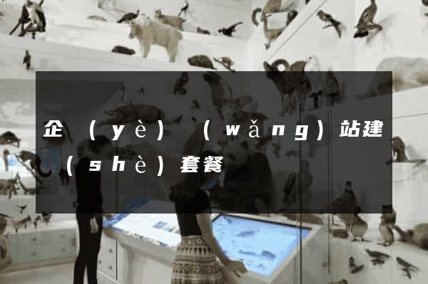 企業(yè)網(wǎng)站建設(shè)套餐