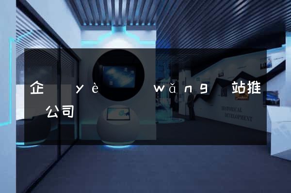 企業(yè)網(wǎng)站推廣公司