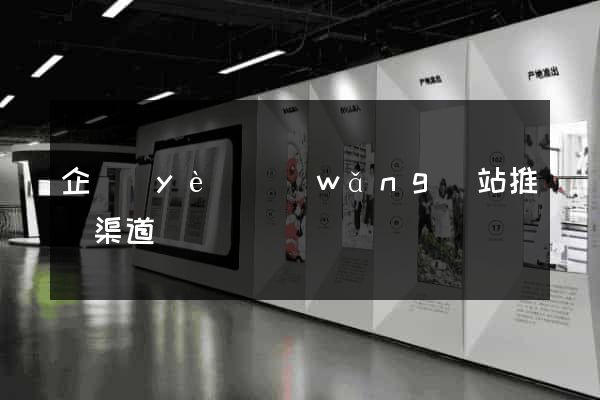 企業(yè)網(wǎng)站推廣渠道